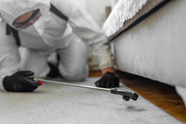Professional Termite Control technician working in Walnut Creek, OH