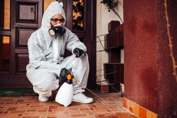 Reliable Termite Control contractor in Walnut Creek, OH by Nex Pest Control