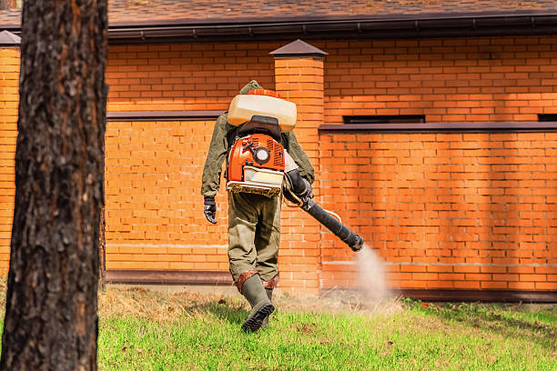 Trusted Rodent Control service in Walnut Creek, OH - Nex Pest Control